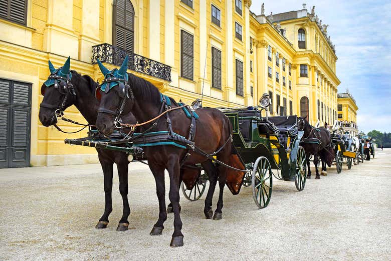 Chevaux devant le Château de Schönbrunn