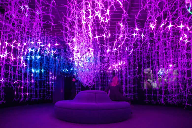 Une expérience immersive