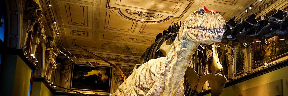 Musée d'histoire naturelle